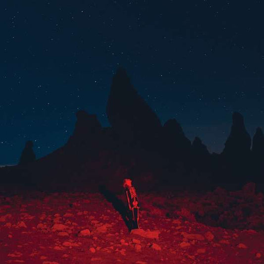 Phoebe Bridgers – Punisher en vinilo negro