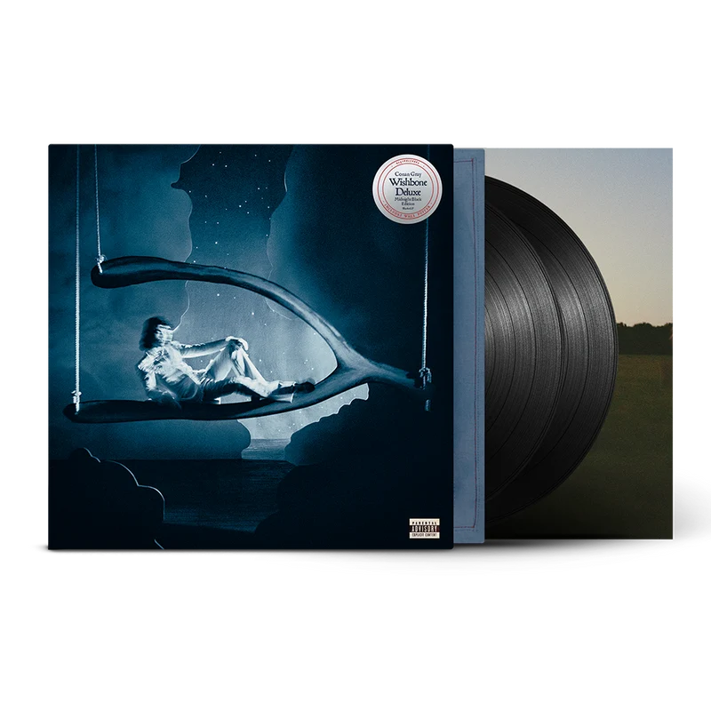 Conan Gray – Wishbone Deluxe · Vinilo 2LP Midnight Black