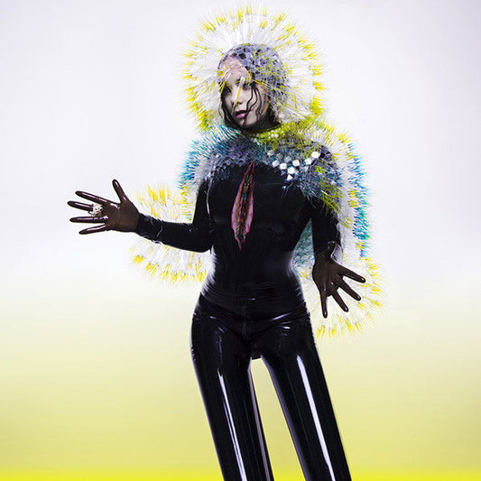 Björk – Vulnicura · Vinilo Negro 2LP