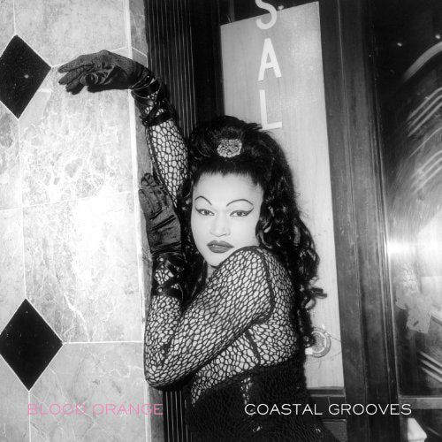 Blood Orange – Coastal Grooves · Vinilo LP (EAN 5034202025917)