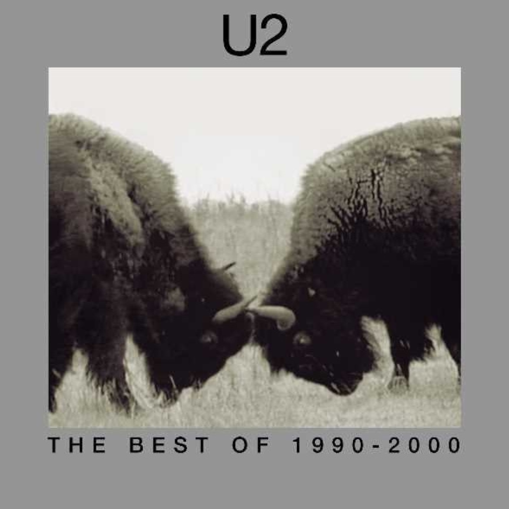 U2 – The Best of 1990–2000 · Vinilo Remastered 2LP